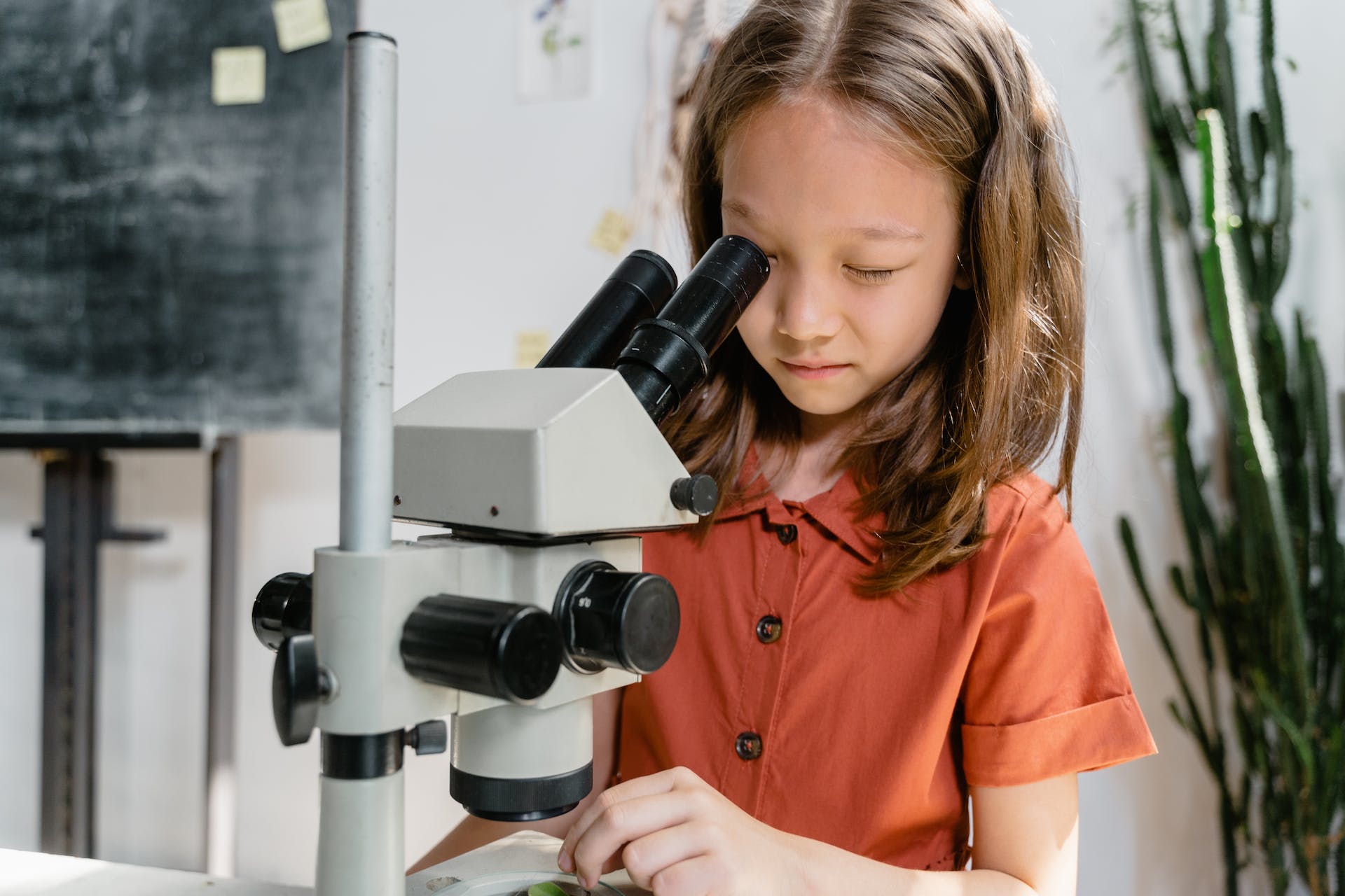 Starting young: Acknowledging the Growing Interest in Science for Kids 